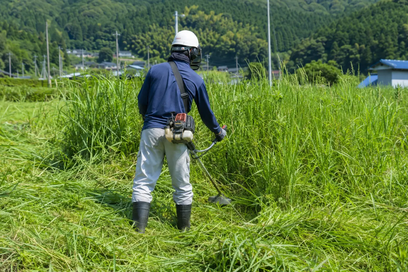 草刈りをするスタッフ